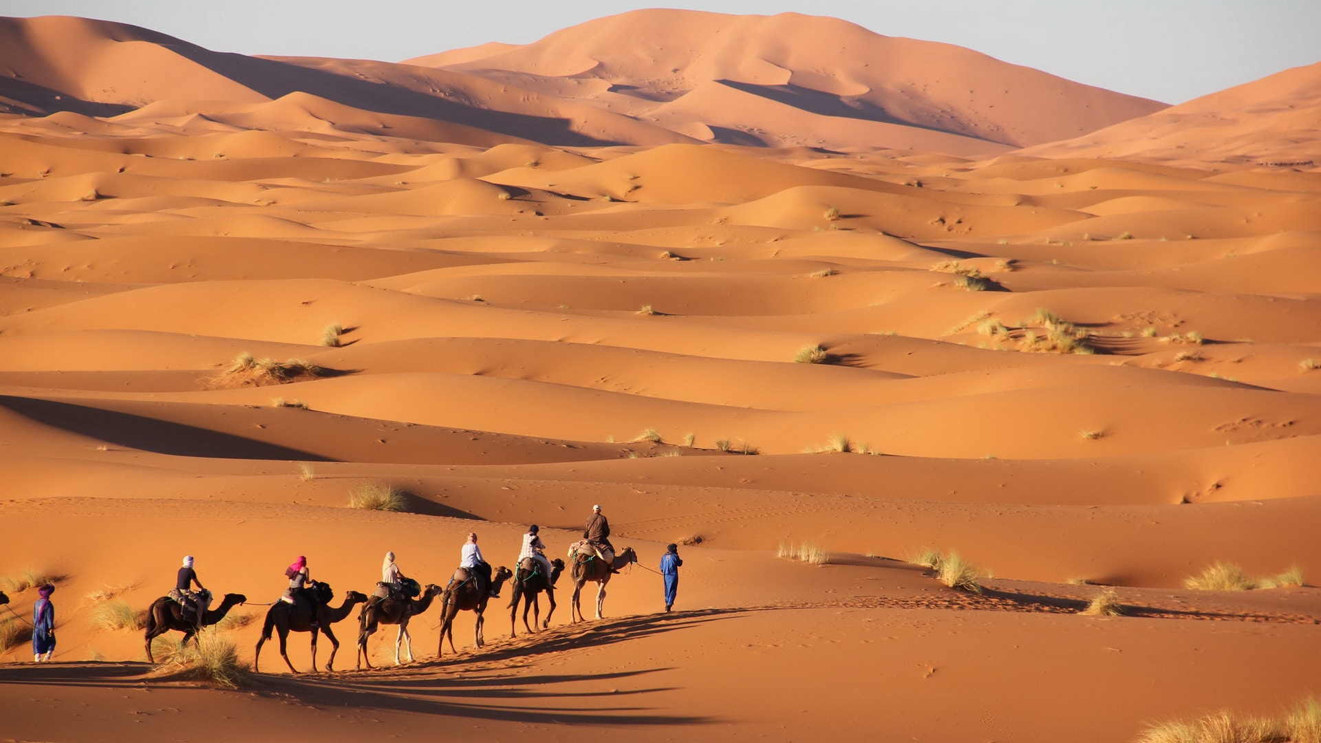 Moroccan Sahara Trek